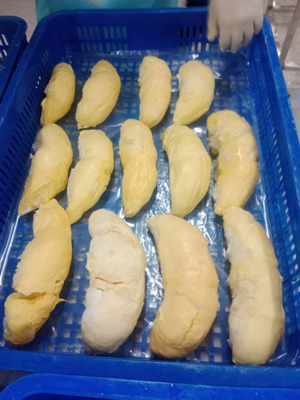 NÔNG NGHIỆP NẮNG MAI