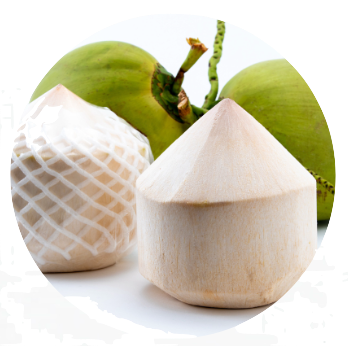 NÔNG NGHIỆP NẮNG MAI