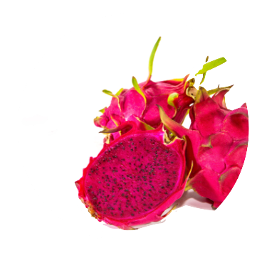 NÔNG NGHIỆP NẮNG MAI