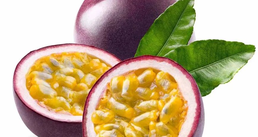 CHANH DÂY TÍM – DAKLAK/LÂM ĐỒNG. Mùa vụ: T.12-T2; T5,T6,T9,T10. Size: 8-16trái/kg Quy cách: 2kg/5kg/9kg /thùng Đặc điểm: ruột vàng ngọt thơm . Brix: 12-15% Bảo quản: 2–5°C, 45 ngày Khả năng cung ứng: 10 cont/tháng.