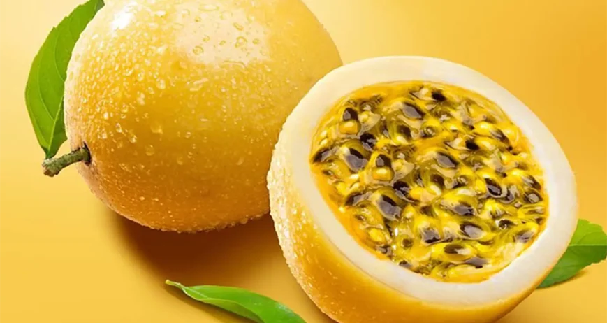 CHANH DÂY VÀNG – DAKLAK/LÂM ĐỒNG. Mùa vụ: T.12-T2; T5,T6,T9,T10. Size: 8-16trái/kg Quy cách: 2kg/5kg /thùng Đặc điểm: ruột vàng ngọt thơm hương ổi/hương mật ong. Brix: 14-18% Bảo quản: 2–5°C, 45 ngày Khả năng cung ứng: 1 cont/tháng.