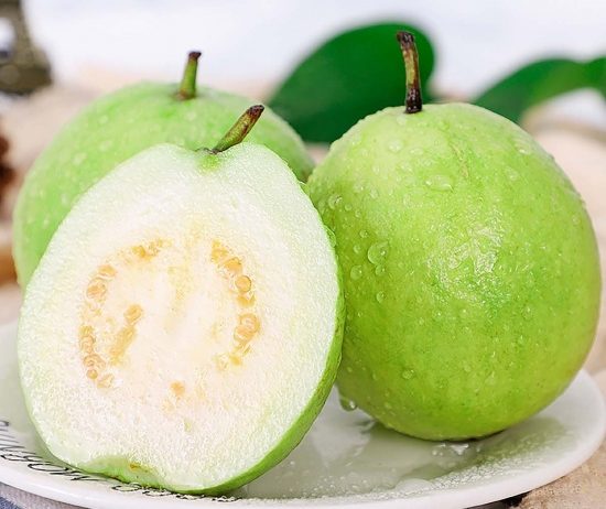 ỔI LÊ RUỘT TRẮNG – ĐỒNG THÁP/VĨNH LONG. Mùa vụ: Quanh năm Size: ≥ 200g/trái up Quy cách: 5kg/9kg /thùng Đặc điểm:ruột trắ ́ ng giòn ngọt. Brix: 8-10% Bảo quản: 2–5°C, 30 ngày Khả năng cung ứng: 10cont/tháng.