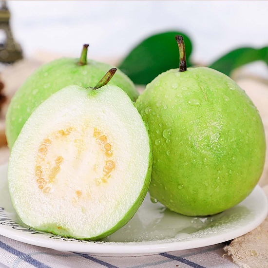 ỔI LÊ RUỘT TRẮNG – ĐỒNG THÁP/VĨNH LONG. Mùa vụ: Quanh năm Size: ≥ 200g/trái up Quy cách: 5kg/9kg /thùng Đặc điểm:ruột trắ ́ ng giòn ngọt. Brix: 8-10% Bảo quản: 2–5°C, 30 ngày Khả năng cung ứng: 10cont/tháng.