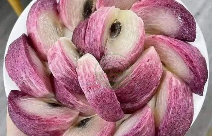 VÚ SỮA LÒ RÈN TÍM – CẦN THƠ Mùa vụ: T.9- T.4 Size: ≥ 250g/trái up Quy cách: 5kg/thùng Đặc điểm:Quả chín ngọt thanh, thơm nhẹ, thịt giòn. Brix: 13-15% Bảo quản: 2–7°C, 15 ngày Khả năng cung ứng: 10 tấ ́ n/tháng.