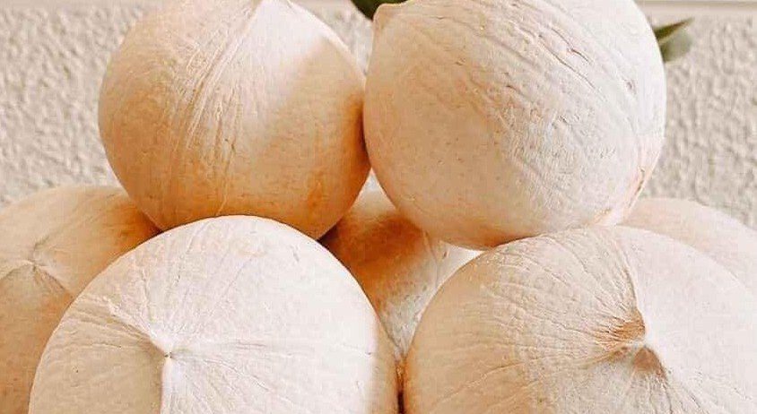 DỪA GỌT TRỌC CHÓP – VĨNH LONG Mùa vụ: Quanh năm Size: ≥ 400g/trái up Quy cách: 9 Trái/thùng Đặc điểm: Nước ngọt thanh. Brix: min 7% Bảo quản: 2–5°C, 90 ngày Khả năng cung ứng: 10cont/tháng.