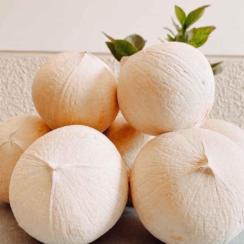 DỪA GỌT TRỌC CHÓP – VĨNH LONG Mùa vụ: Quanh năm Size: ≥ 400g/trái up Quy cách: 9 Trái/thùng Đặc điểm: Nước ngọt thanh. Brix: min 7% Bảo quản: 2–5°C, 90 ngày Khả năng cung ứng: 10cont/tháng.