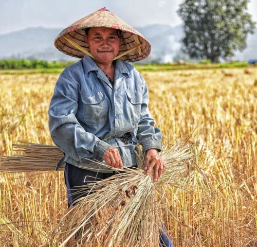 There are many variations of passages of Lorem Ipsum available, but majority have suffered teration in some form, by injected humour, or randomised words which don't look even slight believable. If you are going to use a passage of Lorem Ipsum.