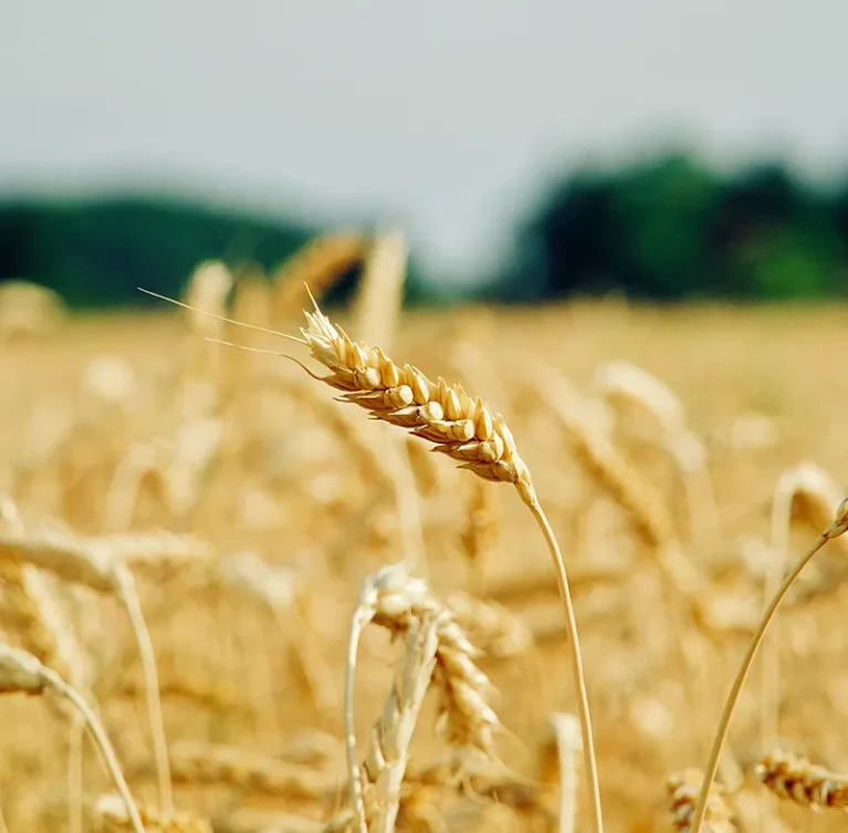 There are many variations of passages of Lorem Ipsum available, but majority have suffered teration in some form, by injected humour, or randomised words which don't look even slight believable. If you are going to use a passage of Lorem Ipsum.