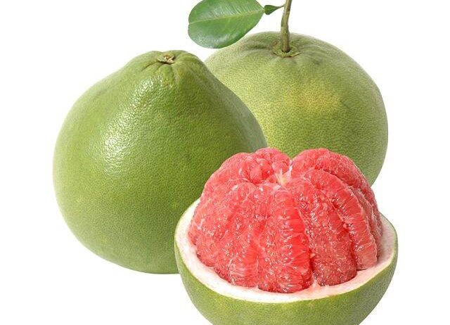 BƯỞI DA XANH – VĨNH LONG. Mùa vụ: Quanh năm Size: ≥ 800g/trái up Quy cách:10kg/13kg /thùng Đặc điểm: ruột đỏ ngọt thanh. Brix: 12-15% Bảo quản: 2–5°C, 60 ngày Khả năng cung ứng: 10cont/tháng.